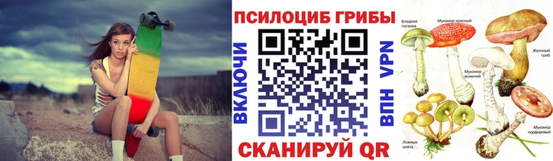 Галлюциногенные грибы прущие грибы  закладки  Нефтекумск 