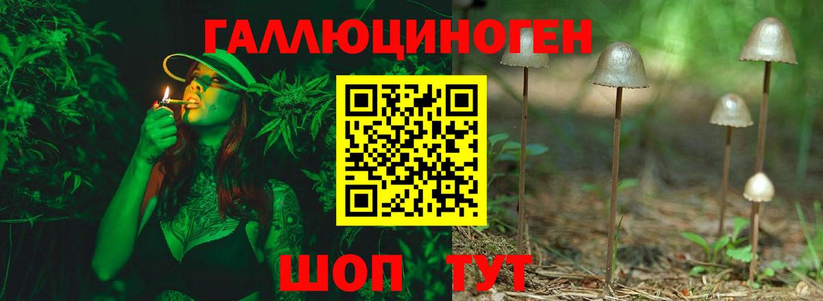 Псилоцибиновые грибы Psilocybine cubensis  Псилоцибиновые грибы прущие грибы  Нефтекумск  Вход с VPN 